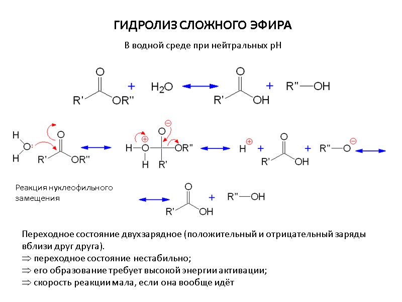 ГИДРОЛИЗ СЛОЖНОГО ЭФИРА В водной среде при нейтральных рН Переходное состояние двухзарядное (положительный и